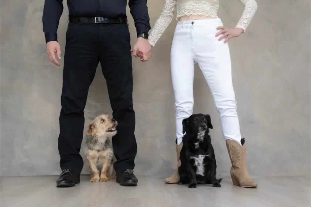 A man and a woman stand side by side holding hands against a gray background; the man wears black pants and shoes, and the woman wears white pants and beige boots. Two small dogs sit on the floor between their legs, a light brown dog near the man and a black dog with a white patch near the woman.